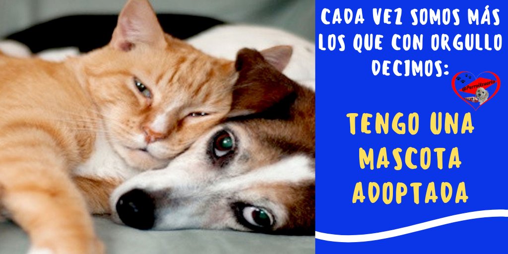 Siiii, cada vez somos más... #ÚneteAlCambio #AdoptaUnAngel