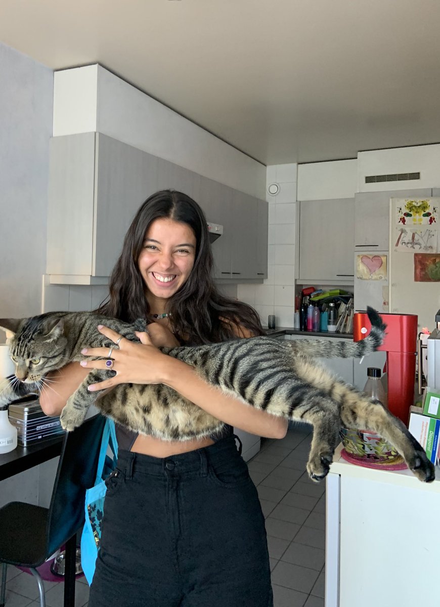 alloomango's tweet photo. 2019-2021 https://t.co/ZEUbA6LxJq