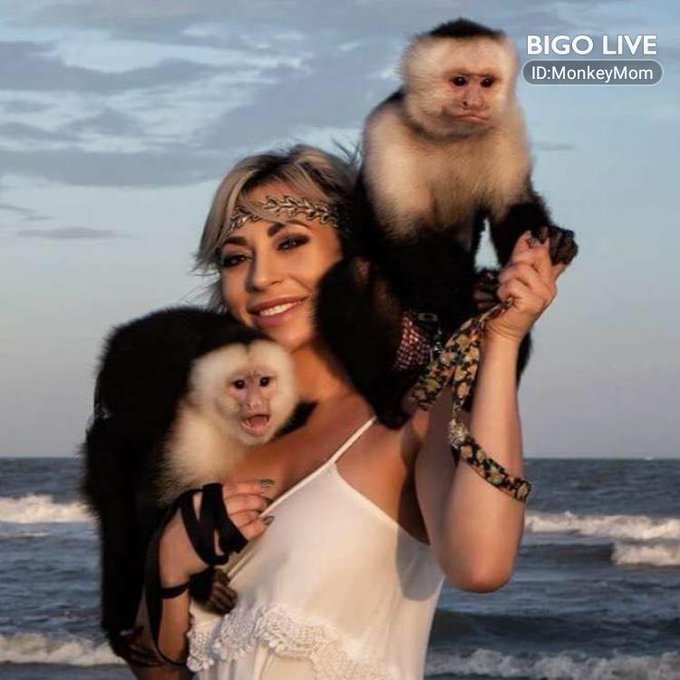 Come and see ᵀᴸ ᗰOᑎKEY🐒🐻's LIVE in #BIGOLIVE   https://t.co/TXMhAljdQ7 https://t.co/hEkkplsUUi https://t<a href="/tag/bigolive"class="tags">#BIGOLIVE</a>