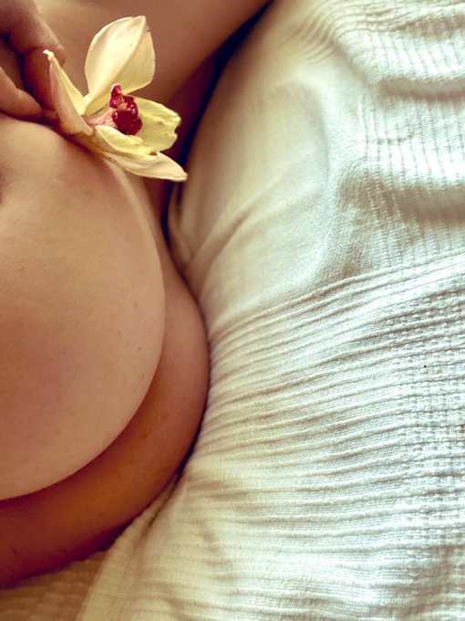 🌸🌺🌼🌸🌺🌼🌸🌺🌼🌸🌺🌼🌸 https://t.co/xvWMIN8ba7