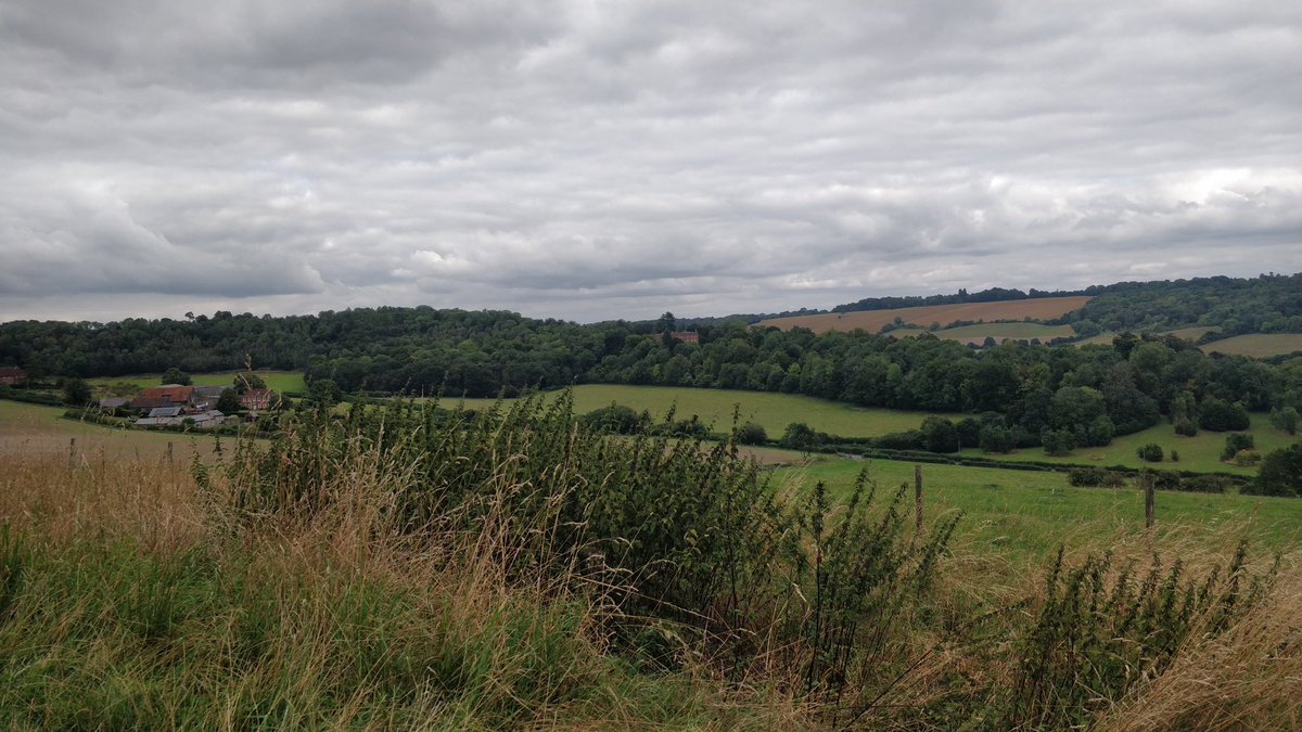 Lovely afternoon ramble around Hughenden. We spotted deer in the woods and climbed up hill to the monument. #greatregionramble @girlgidingSWE