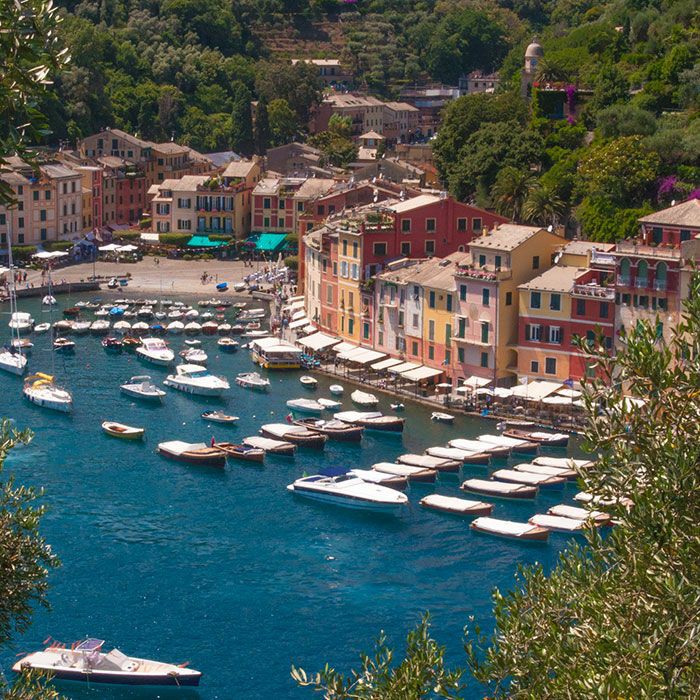 La storia delle trofie al pesto ha origine nel territorio che si affaccia sul Golfo Paradiso, fra i comuni di Sori, Avegno, Recco e Camogli (Ge)
Le trofie (strufuggiâ, strofinare) si condiscono con basilico,olio,pinoli,aglio e parmigiano.
#GastronomiaNelMondo
#CasaLettori