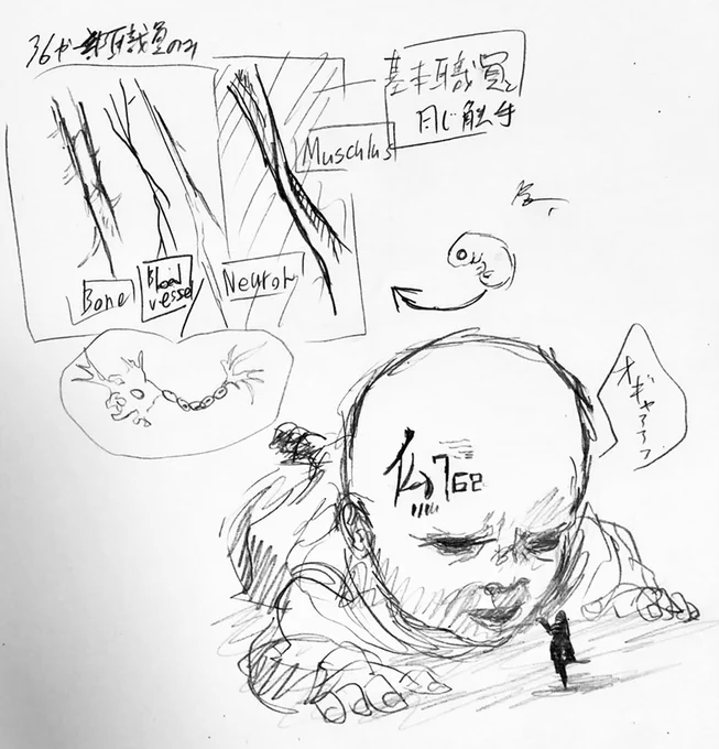 #触手研究所の記録簿
36が創る胎児型触手、仏シリーズは無数の筋繊維型、骨格型、神経型、血管型の触手から構成されている。大きさは2m程のものから12mを超えるものまである。
通称 BabyDoll 