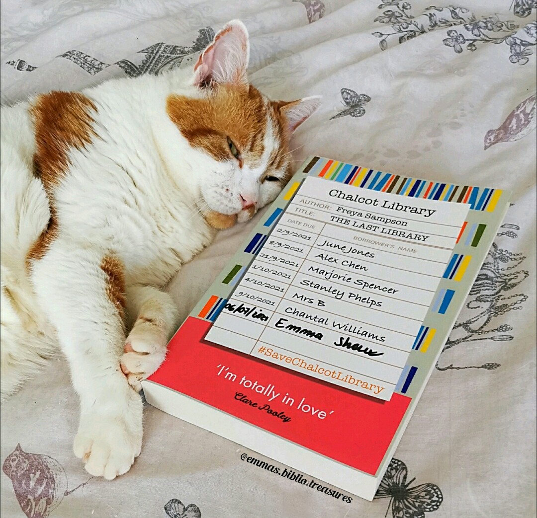 Bibliotreasures's tweet image. Sunday Mood 🐱😴📖

I&apos;m really enjoy #TheLastLibrary What are you reading today? 

#catsandcurrentlyreading
#CatsOfTwitter
