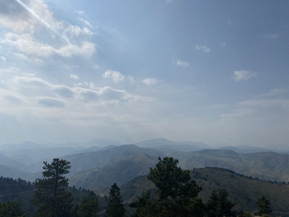 studddamuse's tweet image. I’d go back 😅