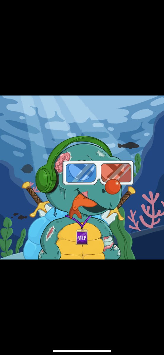 Toxic Turtles tweet media