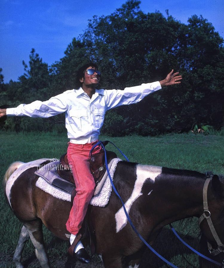 Alex__b03's tweet photo. Happy birthday to the king of my heart 🤍 love you always @michaeljackson ✨
#MichaelJackson #CelebrateMichaelJackson #michaeljacksonbirthday https://t.co/usGrT7uxuR