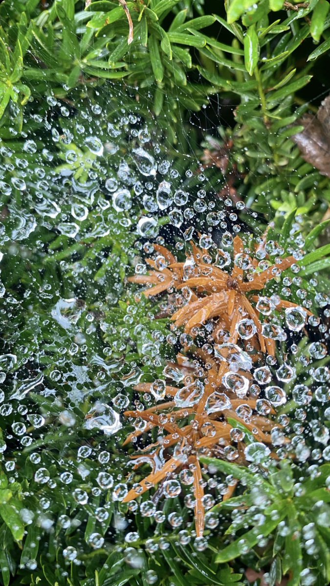 mdez0304's tweet photo. Me encanta esta foto, la naturaleza me da paz https://t.co/kOdKkVwKmg