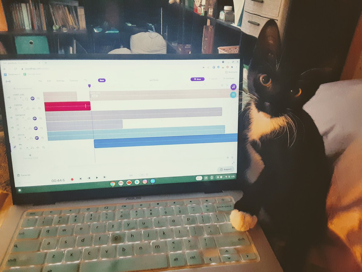 OttolineLady's tweet photo. All podcast episodes have been rigorously inspected by quality control cats. Check out Tales of ASMR for all your story based ASMR needs. Links in comments. #asrm #podcast #cats #catswithjobs https://t.co/8jU2wnssFE