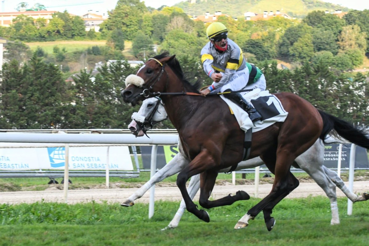 Y terminamos la jornada con el Criterium Internacional,  que  lo gana El Ojancano, con la monta de B Fayos , y propiedad y preparación  de A Remolina.