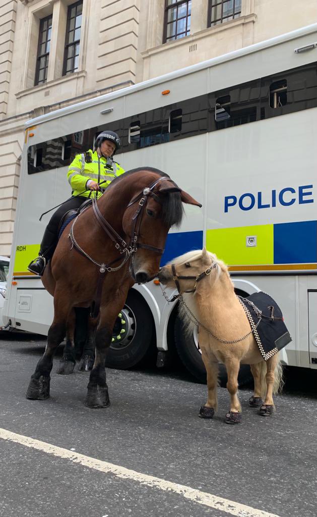 Met Police Taskforce tweet media