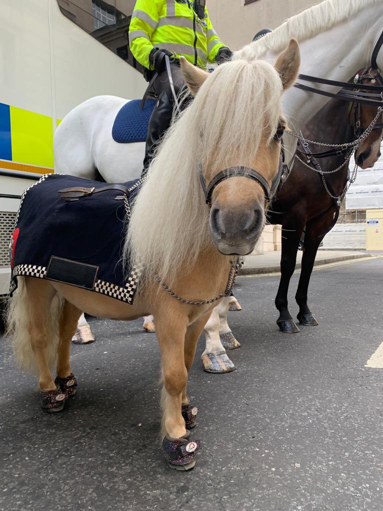 Met Police Taskforce tweet media