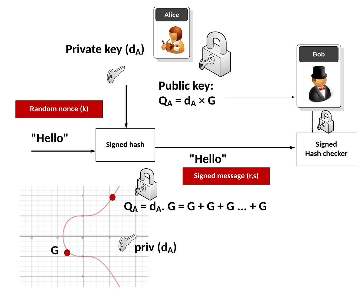 What is the core of trust in Bitcoin? ... Well, Satoshi selected the  Elliptic Curve Digital Signature Algorithm (ECDSA). Here is ECDSA using the  curve that Satoshi selected (secp256k1) ... https://t.co/xBvmg6FLfC