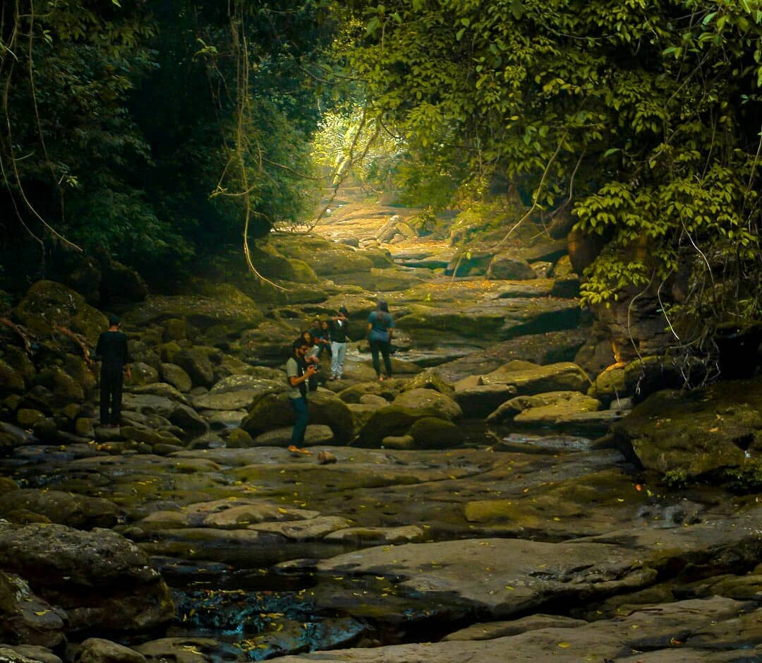 _things2do's tweet photo. #ExperienceWishlist A trip to Mawsynram, #Meghalaya, especially during the monsoon feels like a journey through a landscape straight out of ‘The Hobbit’. 
#Thingsdo #travel #MondayVibes #Waterfall #exploremore 
📸Hamar Diengdoh https://t.co/dodfUbVk3e