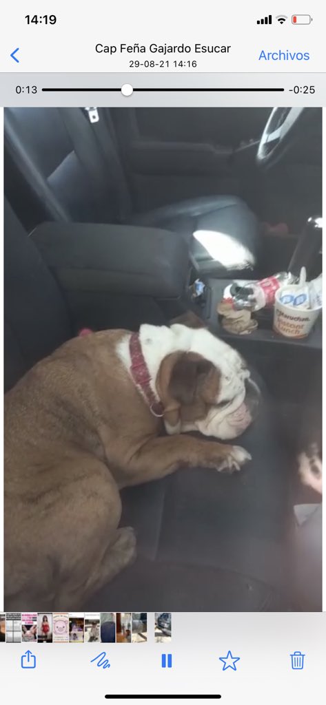 ViudadeCornell's tweet photo. Perrito encerrado en un auto!!! Duble Almeyda con los tres antonios @Muni_provi @Carabdechile @LoveBulldoggies @LoveBulldoggies @PDI_CHILE @meganoticiascl @rodrigosepu https://t.co/LlHwaBLeui