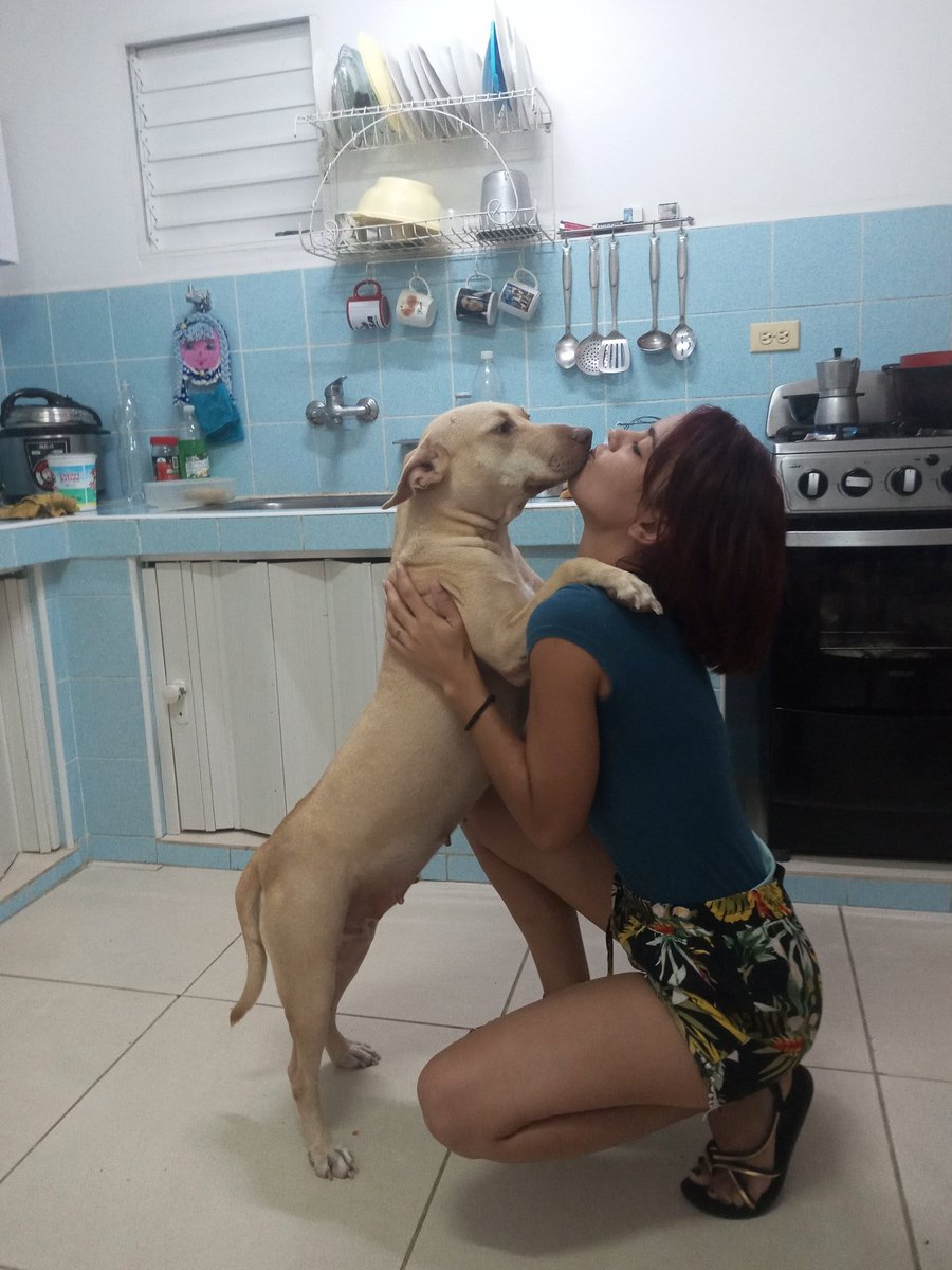 PanuelosRojos_'s tweet photo. Yo soy feliz en mi Cuba, en mi casa, con mi familia, con mi universidad, con mi tribunal.
Lo q tengo? Lo q soy? Todo es lo mismo...me defino...Yo soy #Cuba...cada cm de mi late por este país...Sencillamente soy feliz con todo lo soy...CUBANA https://t.co/dJpNXCfi17