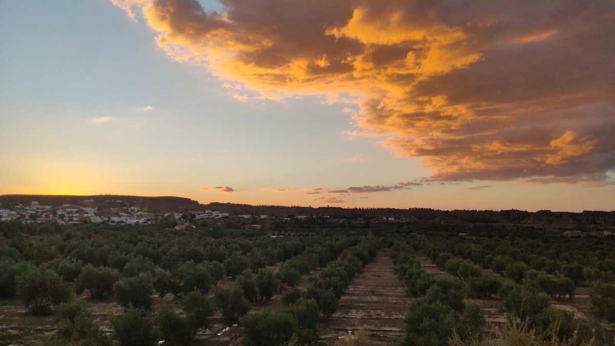 AcciMeteo's tweet photo. Bonito atardecer desde Guadix https://t.co/NchyeSN9x9