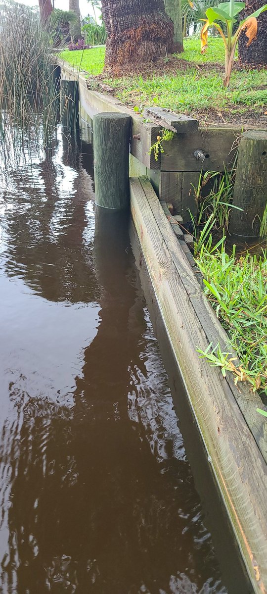 lostcowboy7's tweet photo. @chandalier72 Wait is that athing?  Wow!  Get out of the damn meadow...😒  that's my low tide.  2.5 ft higher than usual 250+ miles away from the storm.   I guess everything is a conspiracy to these people that live in a maga box. https://t.co/QVz3LHRAPd