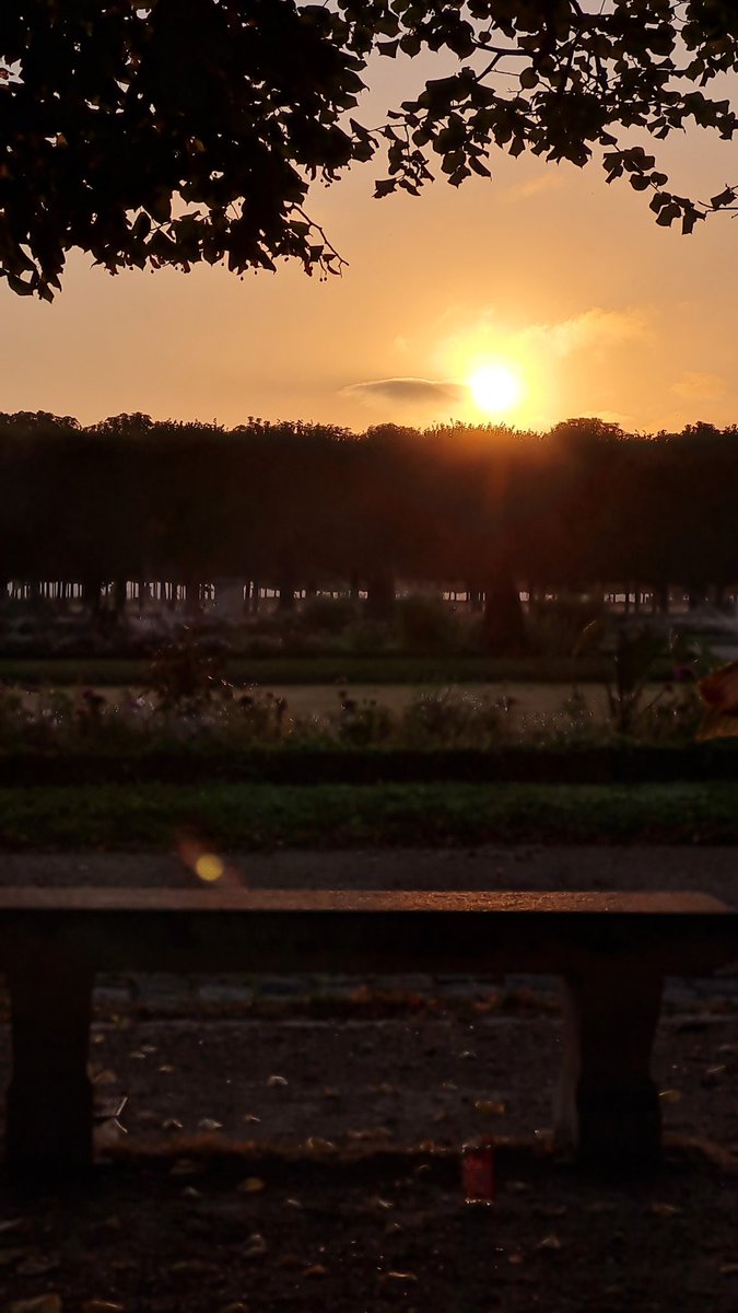 "L'optimisme, c'est voir la vie à travers un rayon de soleil"
Carmen Silva #citation

Douce et tendre soirée...pas trop sage!
📷 Perso ce matin