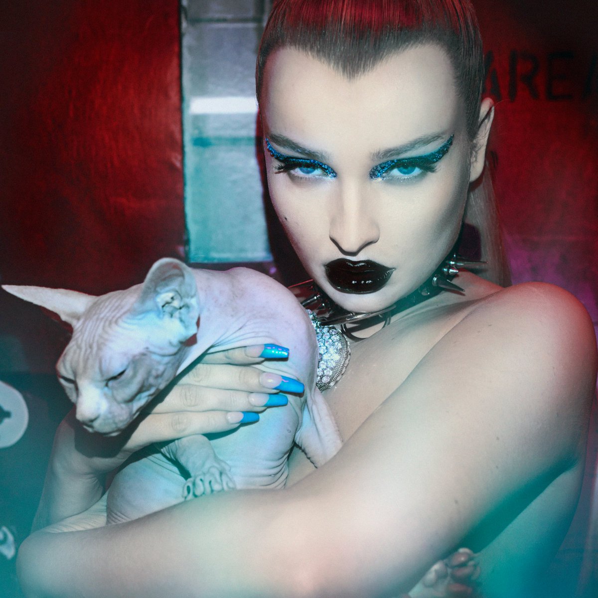 pandoramusic's tweet image. The future looks bright thanks to @kimpetras 😍 🙌 The pop icon absolutely shines on this hopeful, self-love anthem. Hear "Future Starts Now" on Dance Bops: pandora.app.link/G3qBqFos3ib