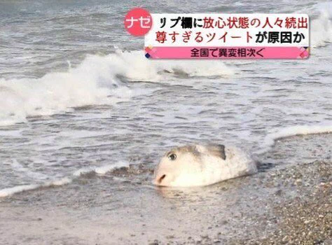 @shirox_em @xjeg7 イイ… 