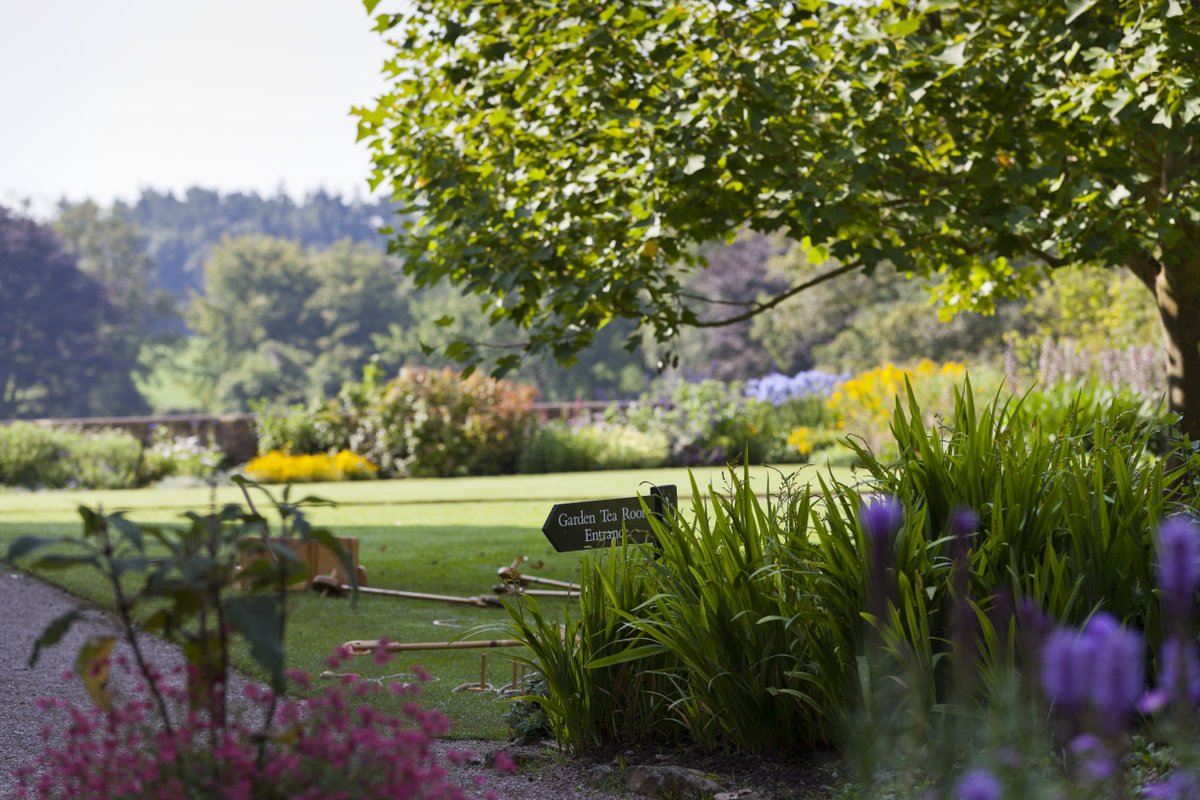 Looking across a plant border to a flat garden lawn space with a sign post and croquet mallets. The sun is illuminating part of the grass with half in shadow.
