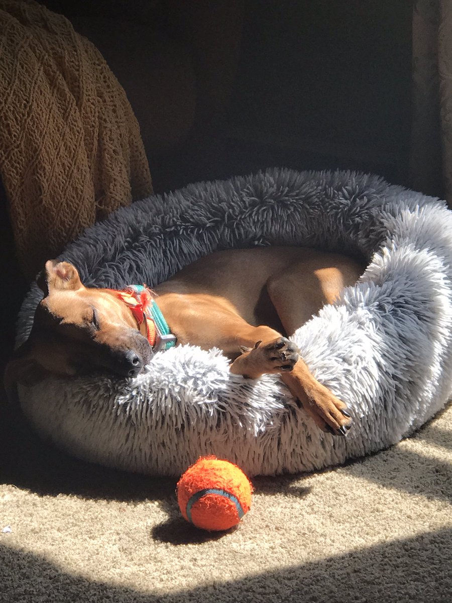FinnAlphaOne's tweet photo. Sunday plans! https://t.co/8mtdZZMn6y