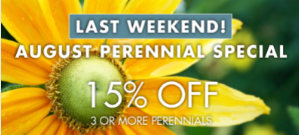 Last chance!!!