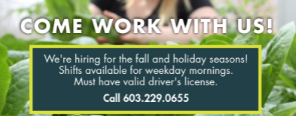 Come work with us...but stay for the plants!