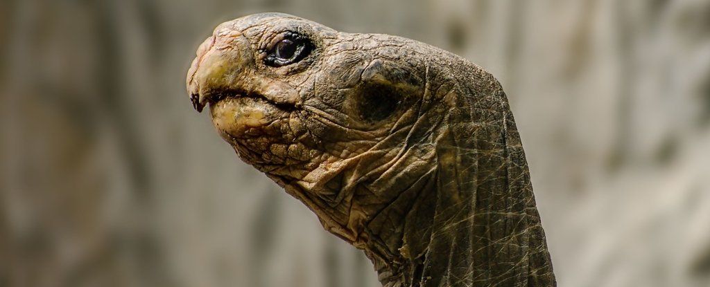 Prepare to feel VERY uncomfortable. 

buff.ly/3Bdp0K1