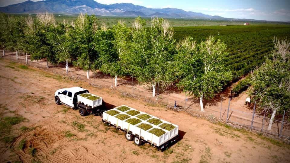 Southeastern #AZWine country - a beautiful part of the American southwest where extraordinary wines are being crafted. We are proud to be a part of it.