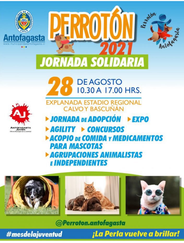 Mañana sábado 28 #Perroton2021 en el Estadio Regional. Habrá actividades para mascotas, sus dueños y todos los asistentes. Esta actividad busca ir en ayuda de las agrupaciones animalistas de #Antofagasta 🐶🐱