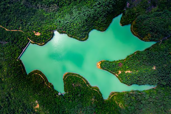 visual_standard's tweet image. &quot;The biggest adventure you can ever take is to live the life of your dreams&quot;

- Oprah Winfrey

#tidalcreek #hiking #southcarolina #nature #fish #travel #TheVisualStandard #visualstandard #visualstandardtraveler #VSmag #VSmagazine #travelmagazine #bestplacestotravel #VS