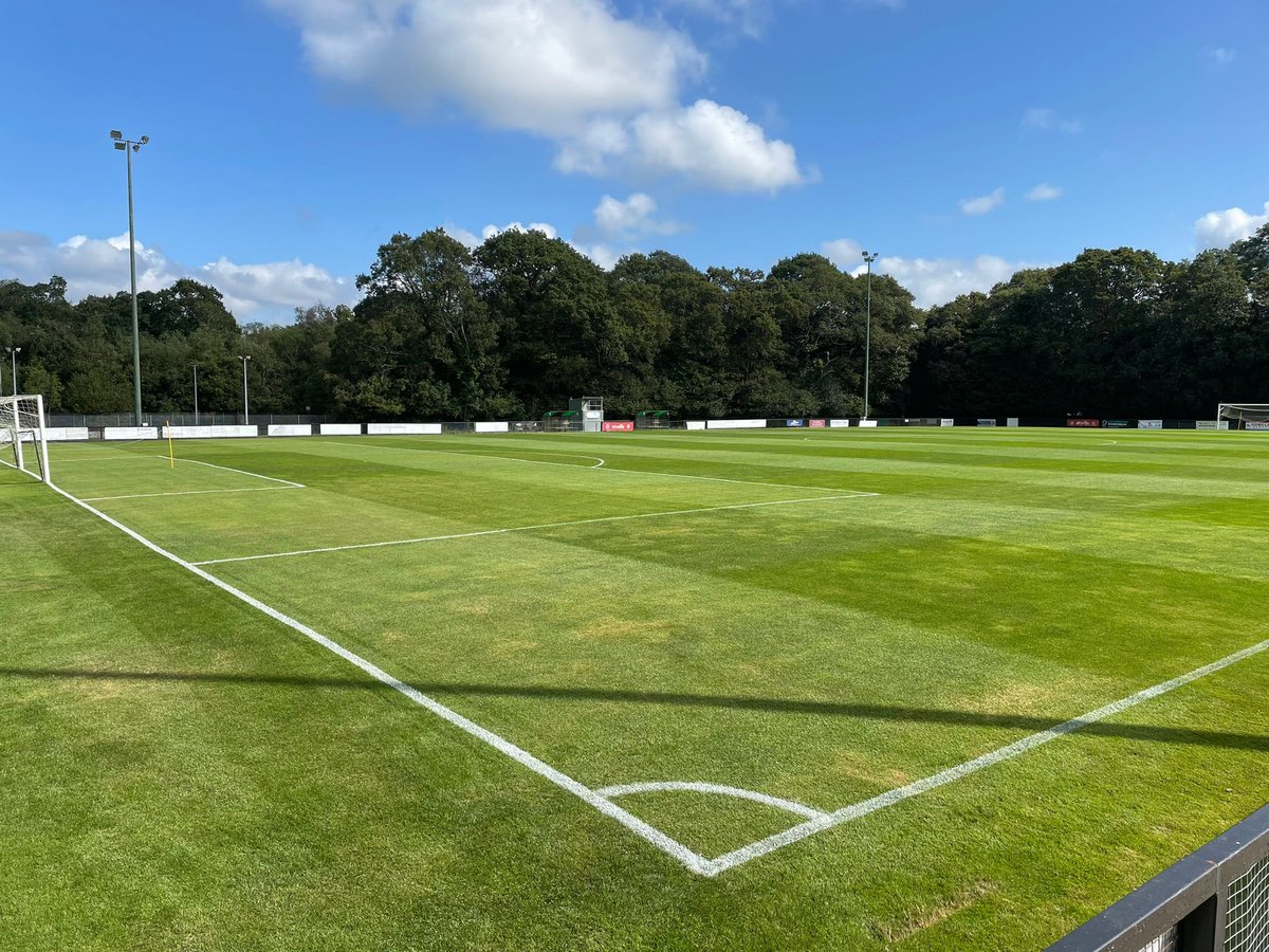Official_BHTFC's tweet image. Game ready. 

@completeturf17 👏

💚🖤 #COYH