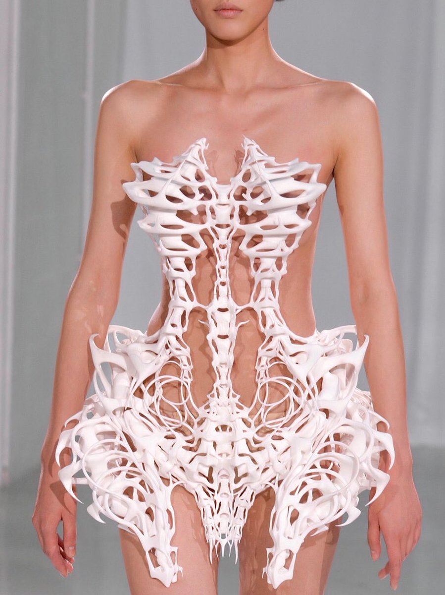 A look from Iris van Herpen Fall 2011 Couture.