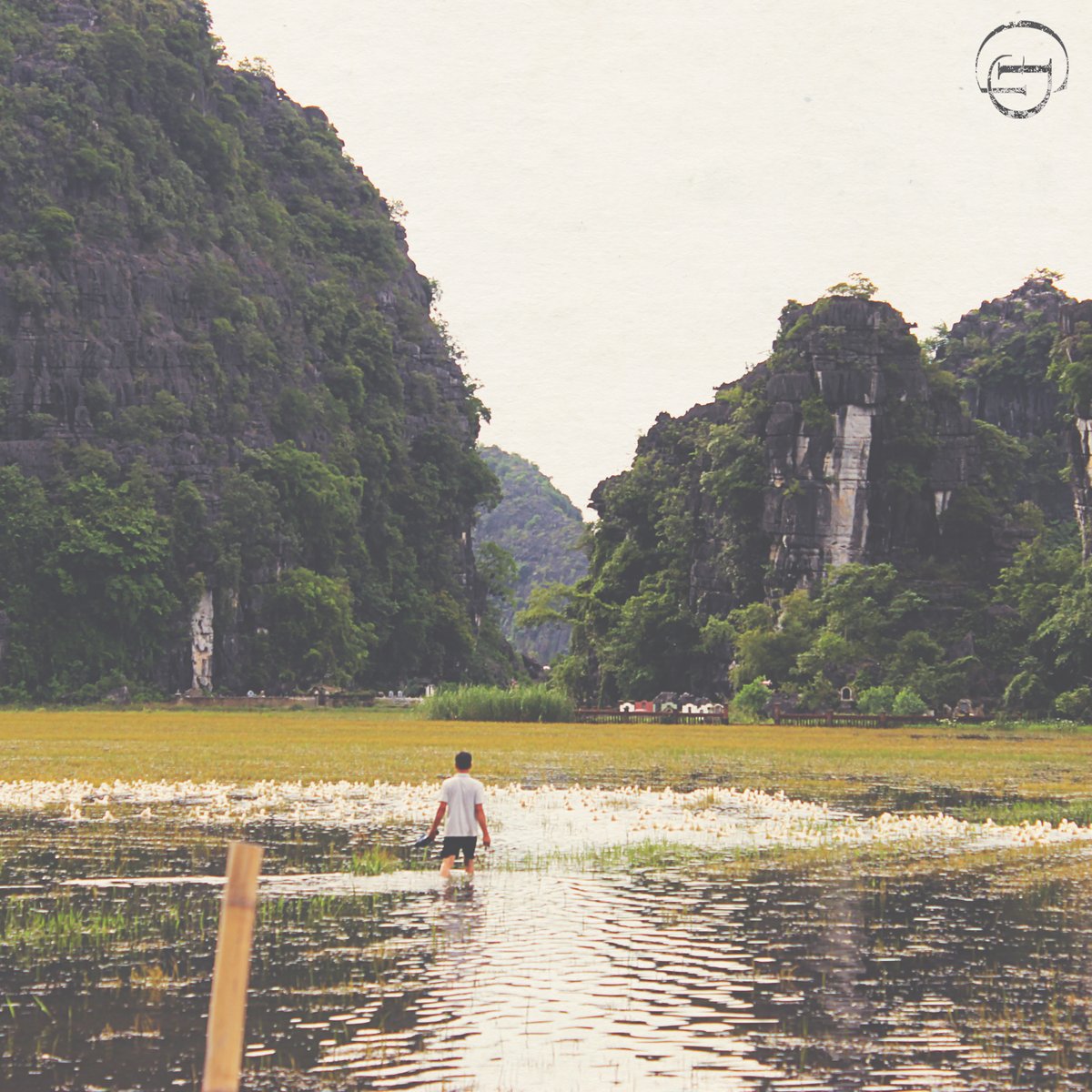 David Gotham tweet media