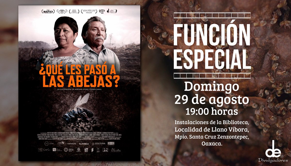 Abejas_Doc's tweet photo. #DeDivulgadores y #AbejasCine presentamos:

        ¿QUÉ LES PASÓ A LAS ABEJAS? 

📍Domingo 29 de agosto | Santa Cruz Zenzontepec, Oaxaca, Biblioteca Llano de Víbora 📚🐝 https://t.co/eZhSgxzZoC