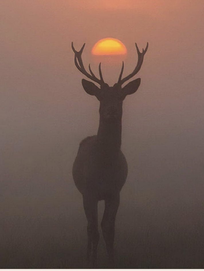 Inhumansoflate1's tweet image. line 3 is a existential threat to all life on earth. It has to be stopped. or accelerated global warming will be the end of all life on  the planet earth .#StopLine3Pipeline #ScienceTwitter #science #potus #BernieSanders #IllanOmar #aoc #ClimateReport #ClimateCrisis