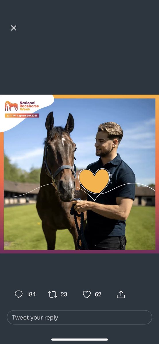 Nick Allen tweet media