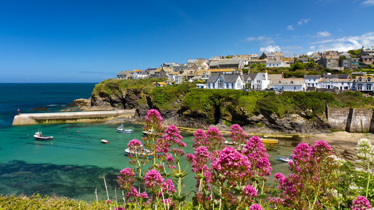 helloconscious's tweet image. Have you seen our #Cornish collection? 

This collection has #vegan-friendly products, which are all made here in #Cornwall. 

Check them out via this link 👇
chooseconscious.com/shop/cornish-c…