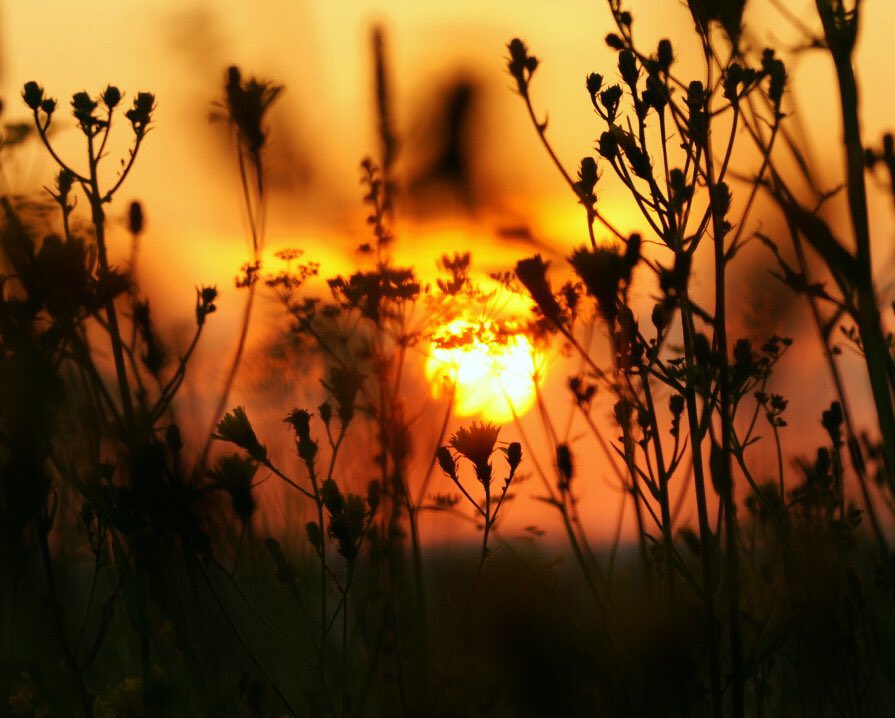 конец лета синоним. летний зной. цитаты про август. конец лета синоним. фотообои конец лета.