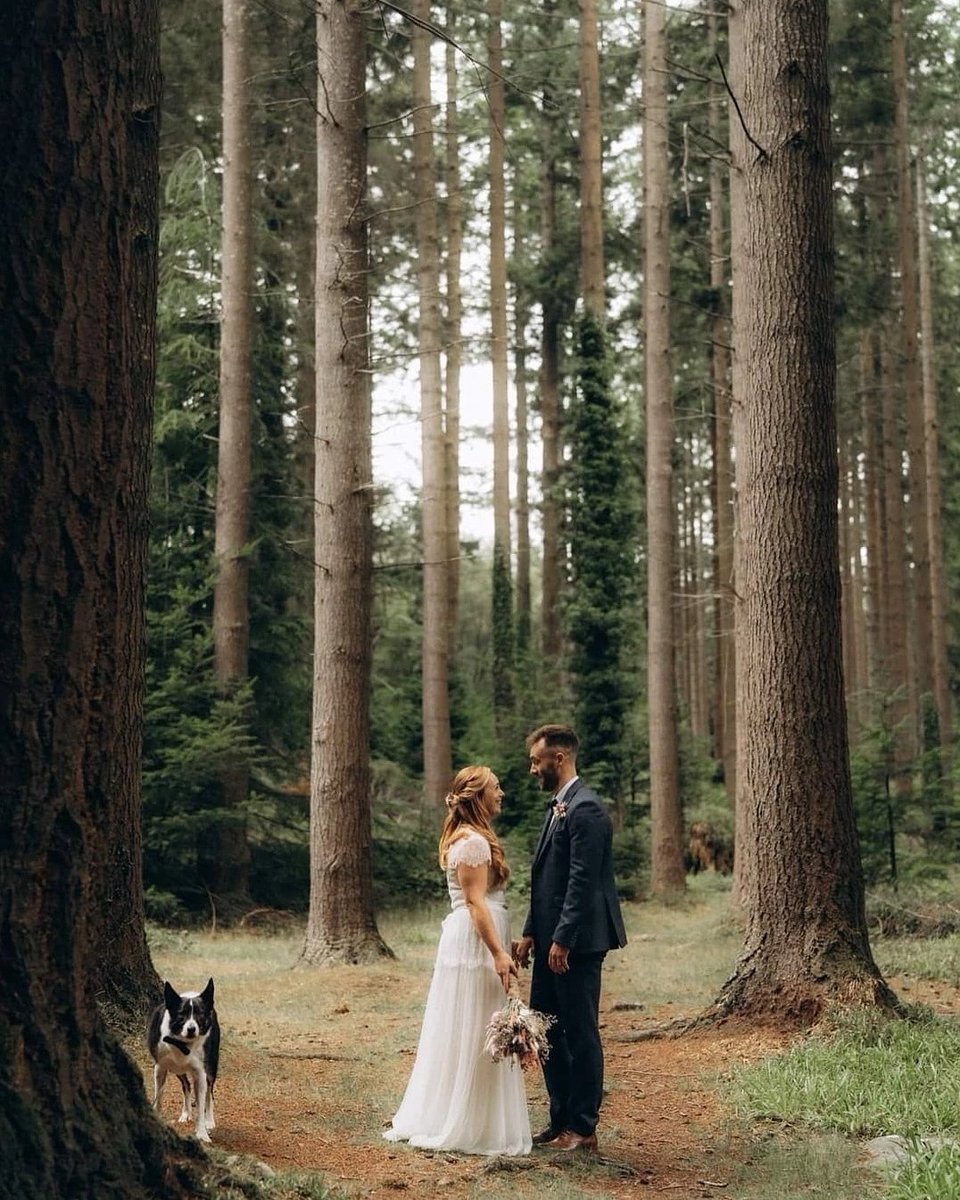 Colin Millar tweet media