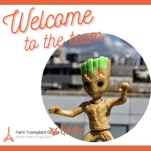 Paris Transplant Group tweet media