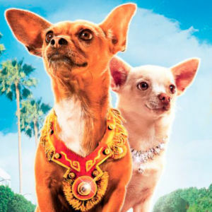 Крошка из беверли хиллз 4. Кошка из Беверли Хиллз 4. Beverly Hills Chihuahua Cover. Talking Dog. Chihuahua Lady Simpsons.