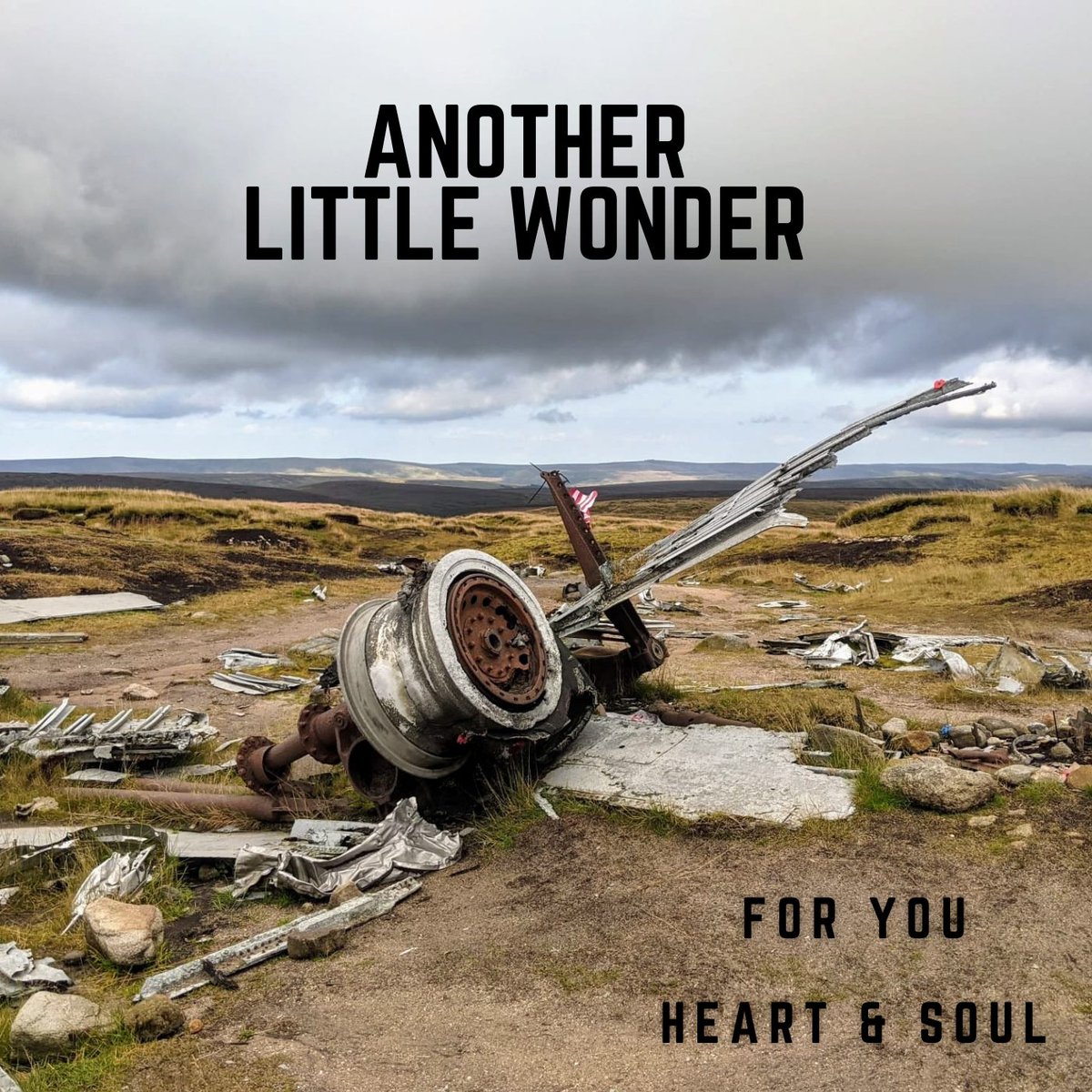 Another Little Wonder tweet media