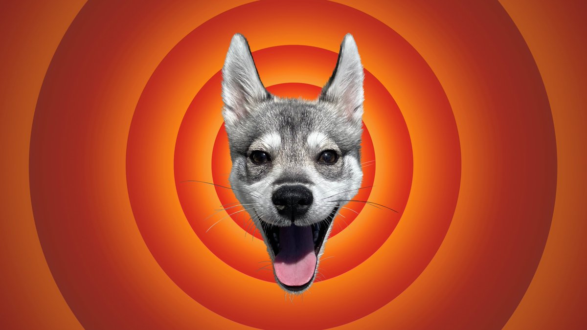 Sean Feeley tweet media