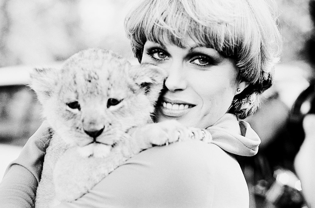Publicity still of #JoannaLumley holding an adorable lion cub during a press reception for The New Avengers. #FlashbackFriday