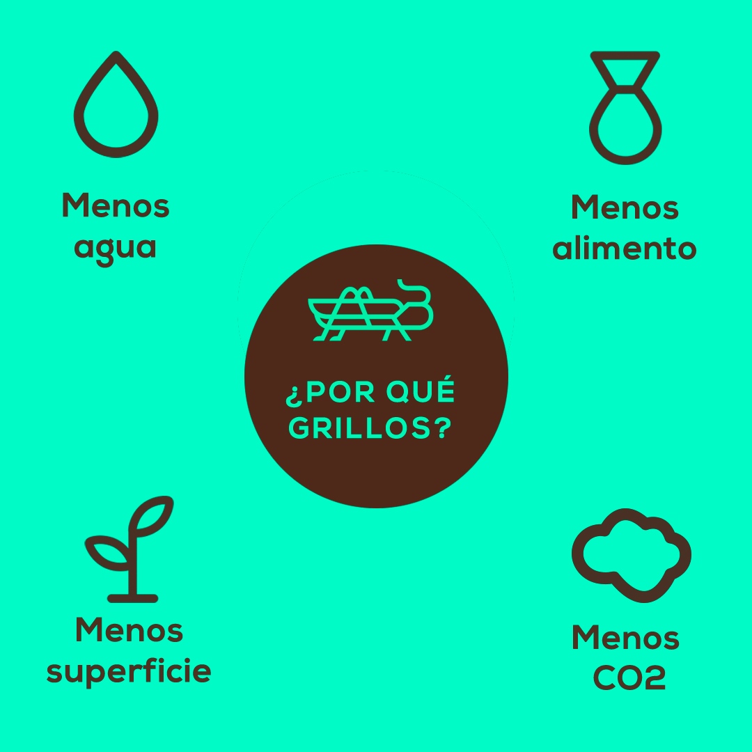 BeCrickets's tweet photo. ¿Por qué grillos?⁠
⁠
Los grillos requieren menos agua, menos alimento, menos superficie y emiten menos co2 para producir la misma cantidad de proteína que cualquier otra fuente de proteína animal.⁠
⁠
🦗⁠
Pide tu proteína en https://t.co/FIpJbbL1ta⁠
🦗⁠ https://t.co/ibP0yrlEV6
