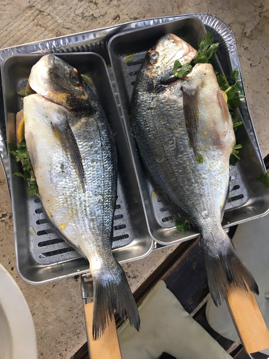 Daniel Stächelin tweet media