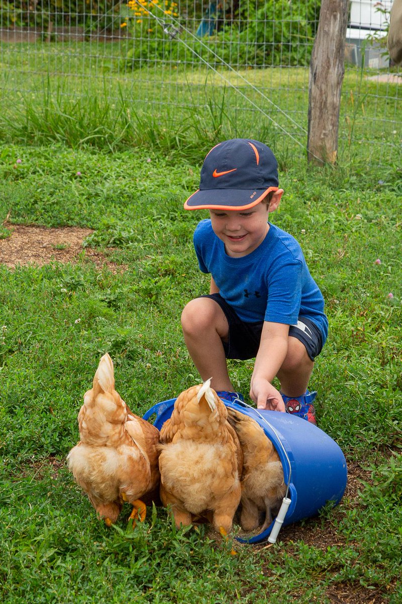 We opened 3 more days for Farm Pre-School (ages 4-5) for your little ones this fall! There are also still  openings for Farm School (ages 6-12). For more details and to register visit: stratfordecologicalcenter.org/farm-school/